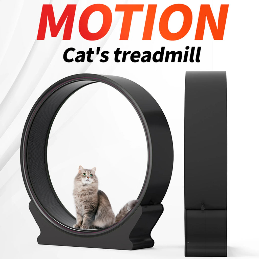 Cat Exercise Wheel New Zealand