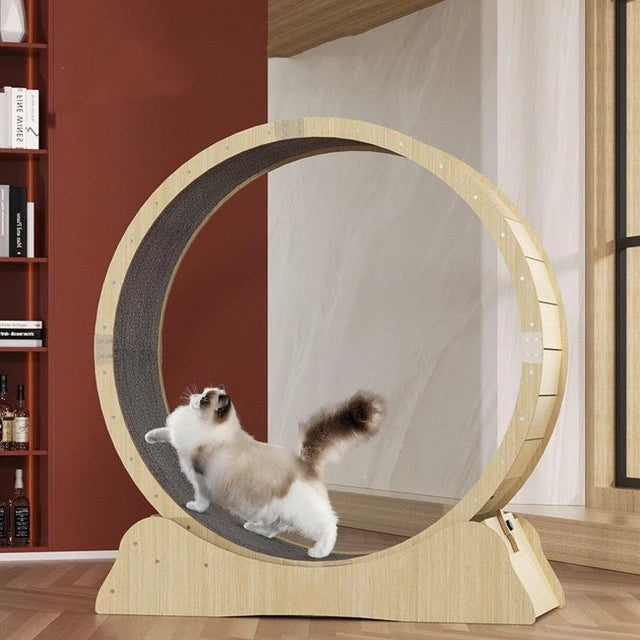 Cat Exercise Wheel Plans