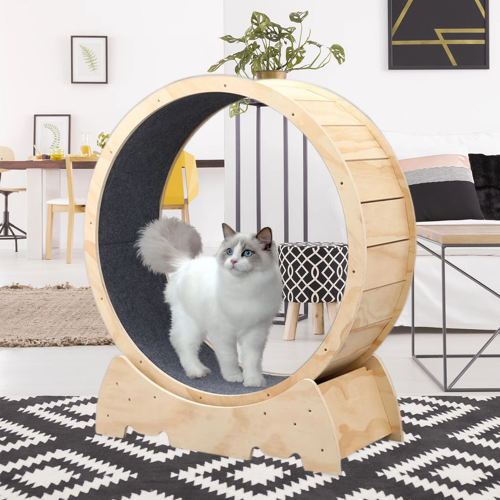 Cat Wheel Exercise Roller
