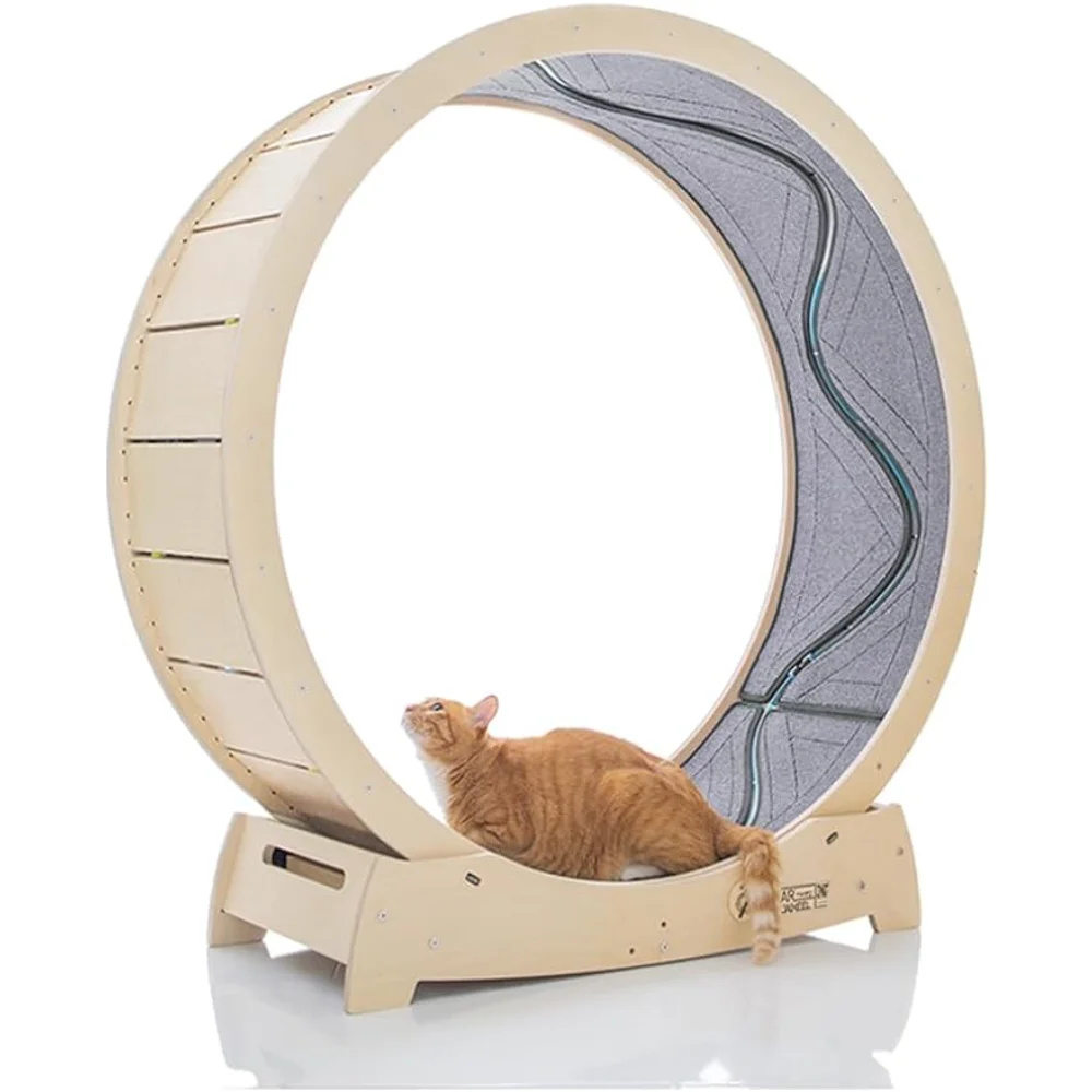 DIY Cat Treadmill Wheel