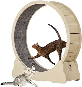 Exercise Wheel For Cats, Amazon