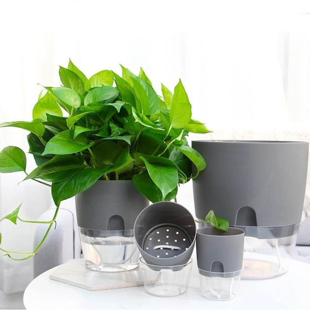 Self-watering Plant Pot with Water Container  VEXAN Shop